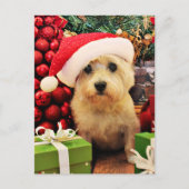 クリスマス-ケアーン・テリア- Roxy シーズンポストカード (正面)