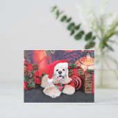 クリスマス – コッカースパニエル犬 – トビー (スタンド正面)