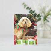 クリスマス – コッカースパニエル犬 – マギー (スタンド正面)