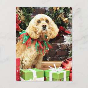 クリスマス – コッカースパニエル犬 – マギー