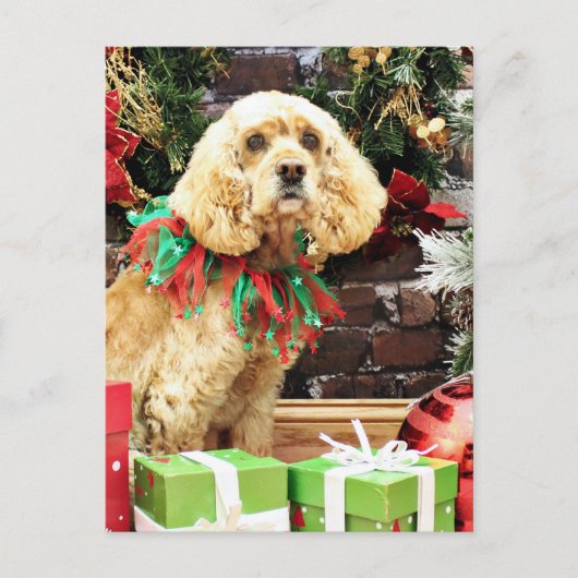 クリスマス – コッカースパニエル犬 – マギー (正面)