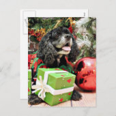 クリスマス – コッカースパニエル犬 – マーシャル (正面/裏面)