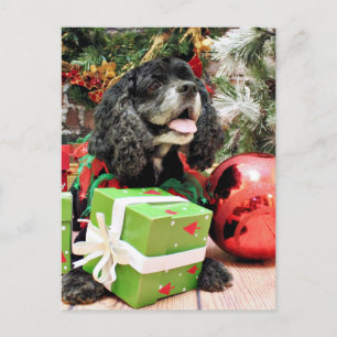 クリスマス – コッカースパニエル犬 – マーシャル