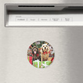 クリスマス – コッカースパニエル犬 – マーフィー – カルビン マグネット (インサイチュ (食洗機))