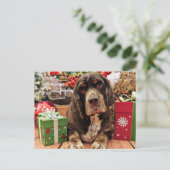 クリスマス – コッカースパニエル犬 – レミー (スタンド正面)