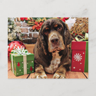 クリスマス – コッカースパニエル犬 – レミー