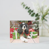 クリスマス – コッカースパニエル犬- Laci (スタンド正面)