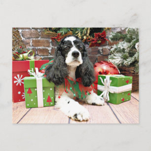 クリスマス – コッカースパニエル犬- Laci