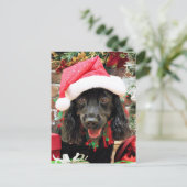 クリスマス – コッカースパニエル犬X – ペッパー (スタンド正面)