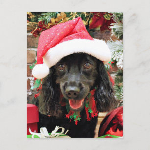クリスマス – コッカースパニエル犬X – ペッパー