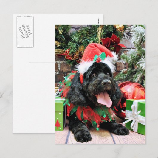 クリスマス – コックパオ – ジャック (正面/裏面)