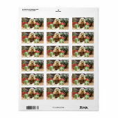 クリスマス – コックパオ – バディ ラベル (フルシート)