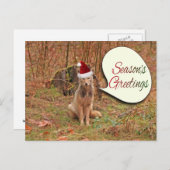 クリスマス・コヨーテ シーズンポストカード (正面/裏面)