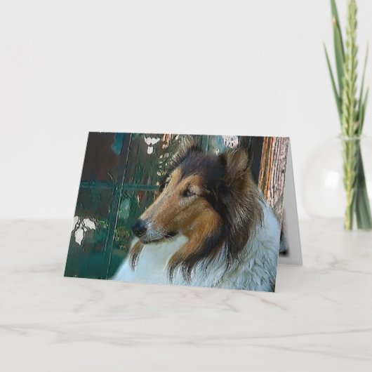 クリスマス・コリー・アット・ウィンドウ シーズンカード (正面)