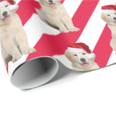 クリスマス ゴールデンレトリバー ストライプ ラッピングペーパー (ロールコーナー)