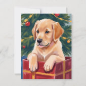 クリスマス ゴールデンレトリバー 子犬 プレゼント (正面)