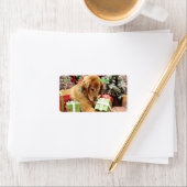 クリスマス – ゴールデンレトリバー – Addison ラベル (インサイチュ)