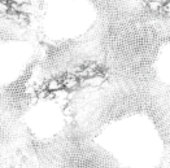 クリスマス | サンクスギビング | ファミリーシャツとギフト 招待状