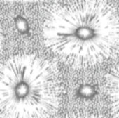 クリスマス | サンクスギビング | ファミリーシャツとギフト 招待状