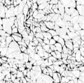 クリスマス | サンクスギビング | ファミリーシャツとギフト 招待状