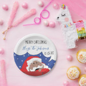 クリスマス・サンタクロースが言う ペーパープレート (パーティー)