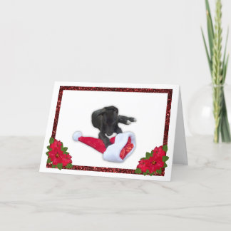 クリスマス・サンタハットを持つグレイハウンドの子犬 シーズンカード