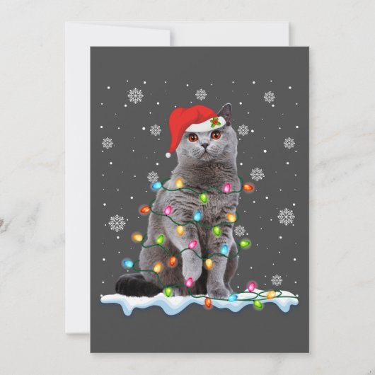 クリスマス サンタ 猫 ブリティッシュショートヘア 猫好き (正面)