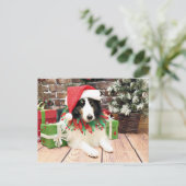 クリスマス-シェットランド・シープドッグ-強盗 シーズンポストカード (スタンド正面)