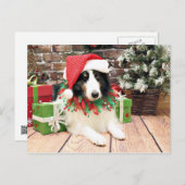 クリスマス-シェットランド・シープドッグ-強盗 シーズンポストカード (正面/裏面)