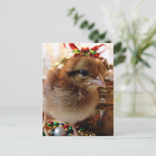 クリスマス・シック シーズンポストカード (スタンド正面)