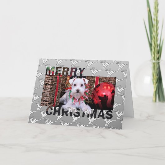 クリスマス-シュナウツァー-エマ シーズンカード (正面)