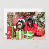 クリスマス-シーズー(犬) Tzu -ライリーおよびひだ シーズンポストカード (正面/裏面)