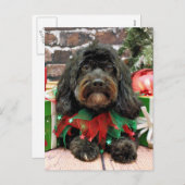 クリスマス-シーズー(犬) Tzu X - Bella シーズンポストカード (正面/裏面)