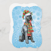 クリスマス・ジャイアントシュナウザー シーズンカード (正面/裏面)