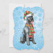 クリスマス・ジャイアントシュナウザー シーズンカード (正面)