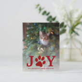 クリスマス・ジョイ |ペットの休日の写真 シーズンポストカード (スタンド正面)