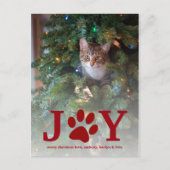 クリスマス・ジョイ |ペットの休日の写真 シーズンポストカード (正面)
