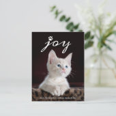 クリスマス・ジョイ |ペットの休日の写真 シーズンポストカード (スタンド正面)