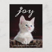 クリスマス・ジョイ |ペットの休日の写真 シーズンポストカード (正面)