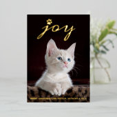 クリスマス・ジョイ |ペットフォト実在 箔シーズンカード (立ち正面)