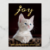 クリスマス・ジョイ |ペットフォト実在 箔シーズンポストカード (正面)
