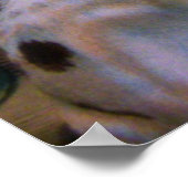 クリスマス・ジョイ ポスター (角)