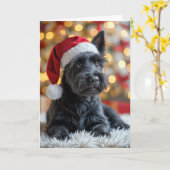 クリスマス・スコティッシュ・テリア・オンファー カード (黄色い花)