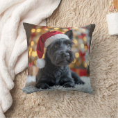 クリスマス・スコティッシュ・テリア・オンファー クッション (ブランケット)