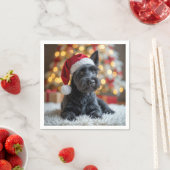 クリスマス・スコティッシュ・テリア・オンファー スタンダードカクテルナプキン (インサイチュ)