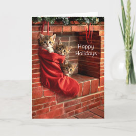 クリスマス スタッキングの三匹の子猫 ホリデー カード