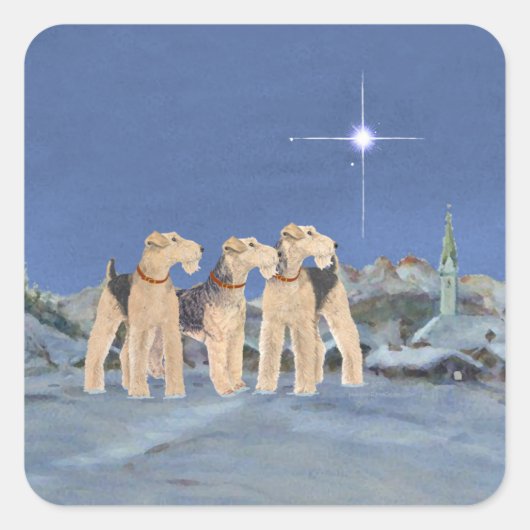 クリスマス・スター スクエアシール (正面)