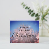 クリスマス·スノー·ツリーズ！ ポストカード (スタンド正面)