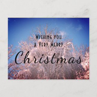 クリスマス·スノー·ツリーズ！ ポストカード