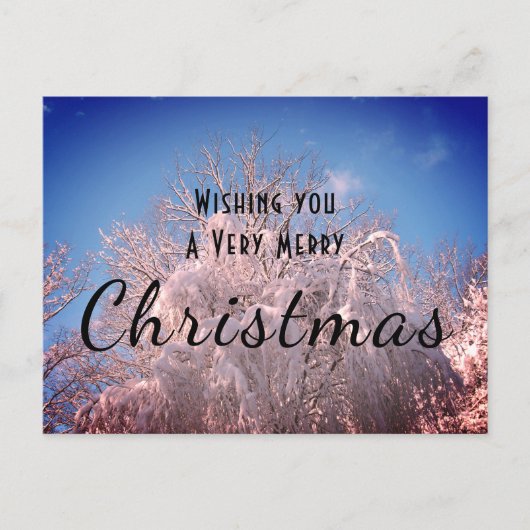クリスマス·スノー·ツリーズ！ ポストカード (正面)